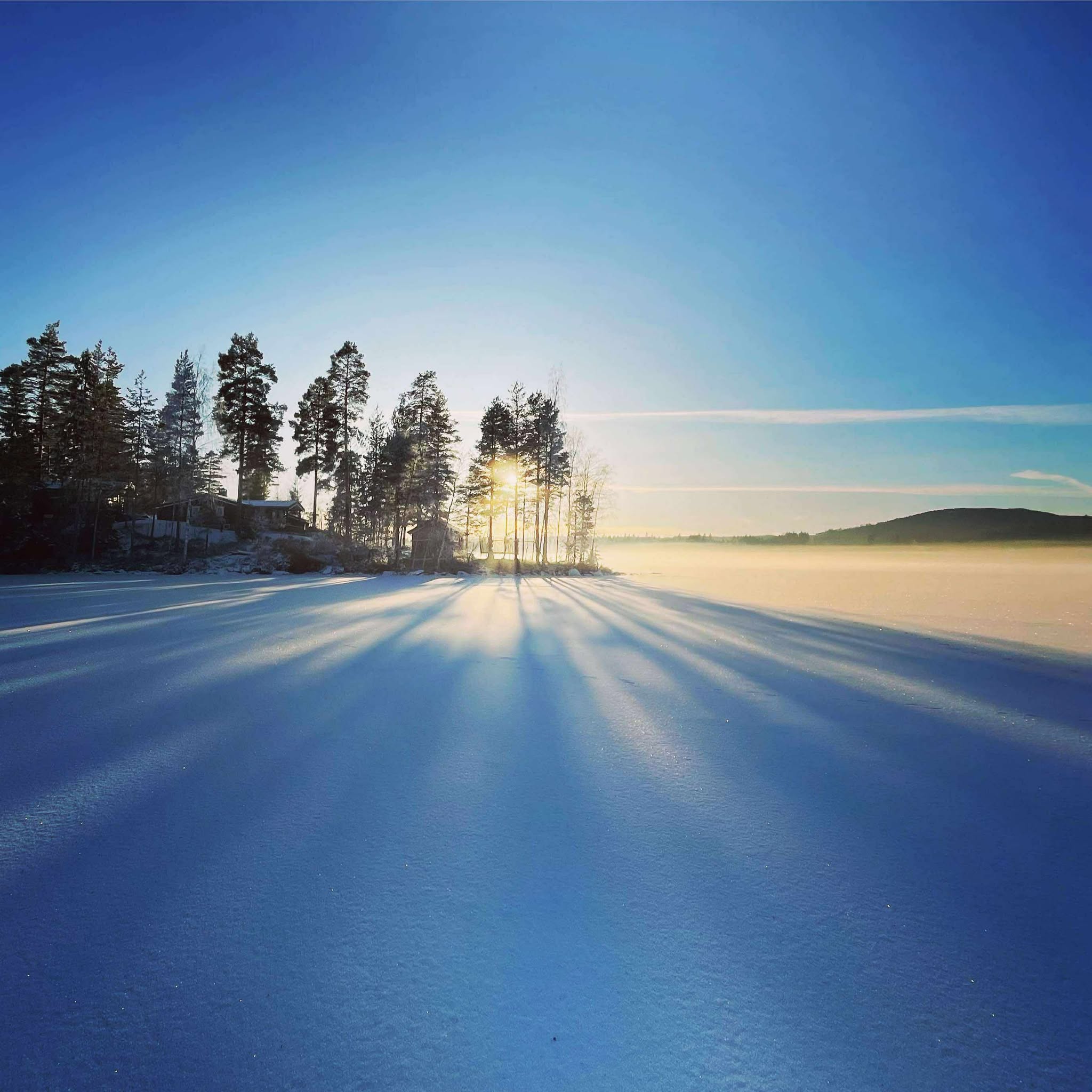 Dragalvika om vinteren